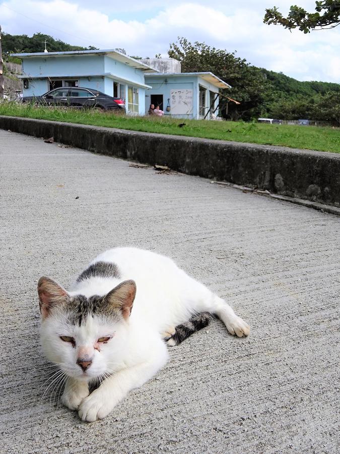 Minshuku Itoman Bettei Goyukkuri Hotel Exterior foto